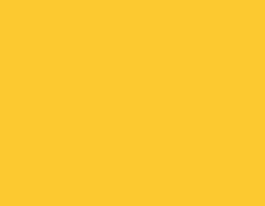 This image shows a yellow background